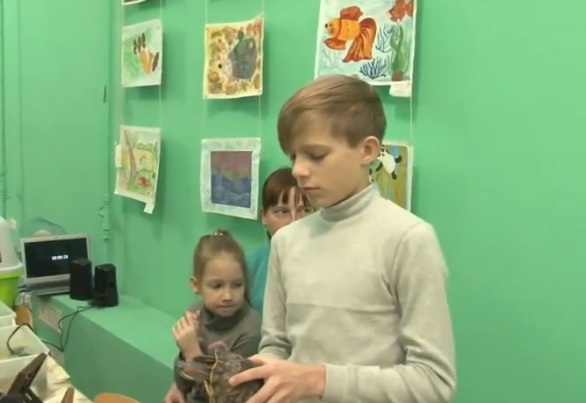 Выставка животных3